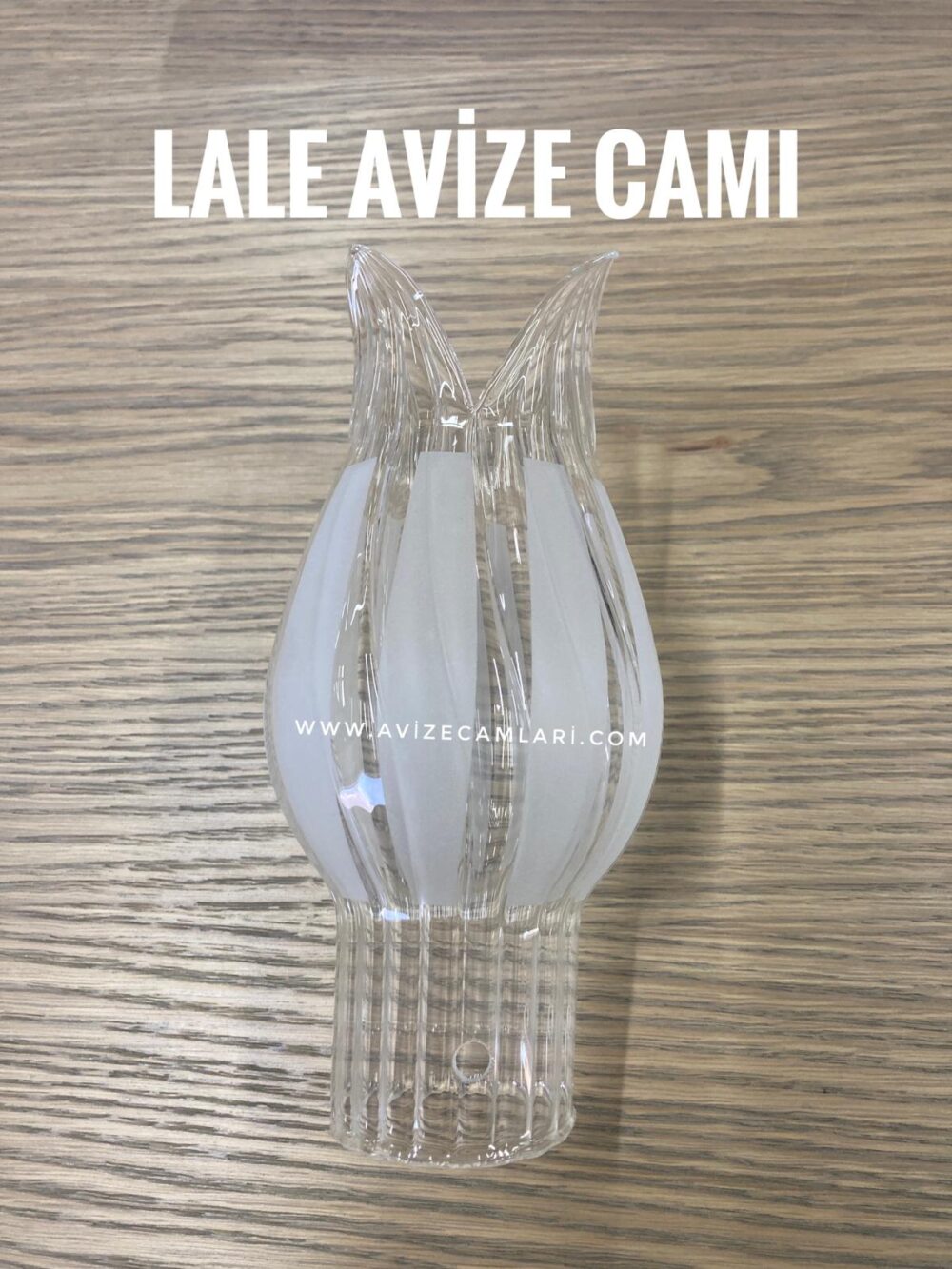 Lale Avize Camı ( ŞEFFAF )